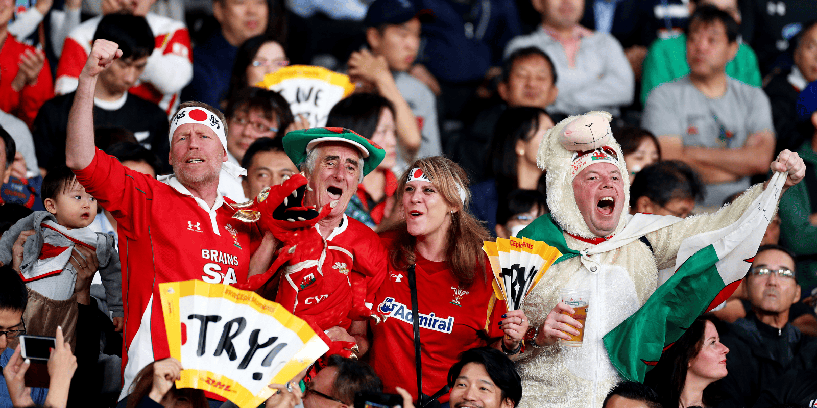 Men’s Rugby World Cup 2027 – Complete Guide